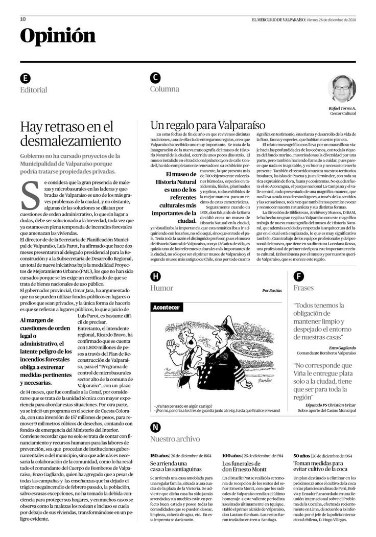 Opinión de Elmatahambre49: análisis completo y sincero del sabor y calidad
