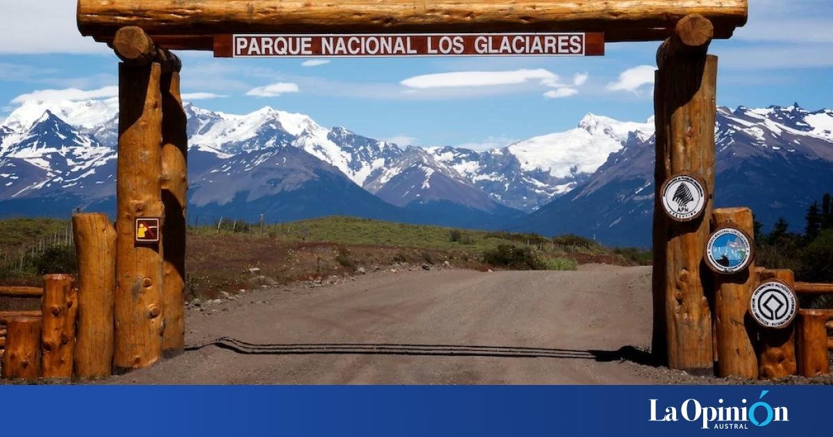 Opinión de Los parces 1 Opinión de Los Parces: reseña sincera y análisis completo del grupo