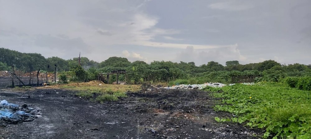 Opinión de Humo Panamá La Chorrera 1 Opinión de Humo Panamá La Chorrera | Análisis y reseña completa