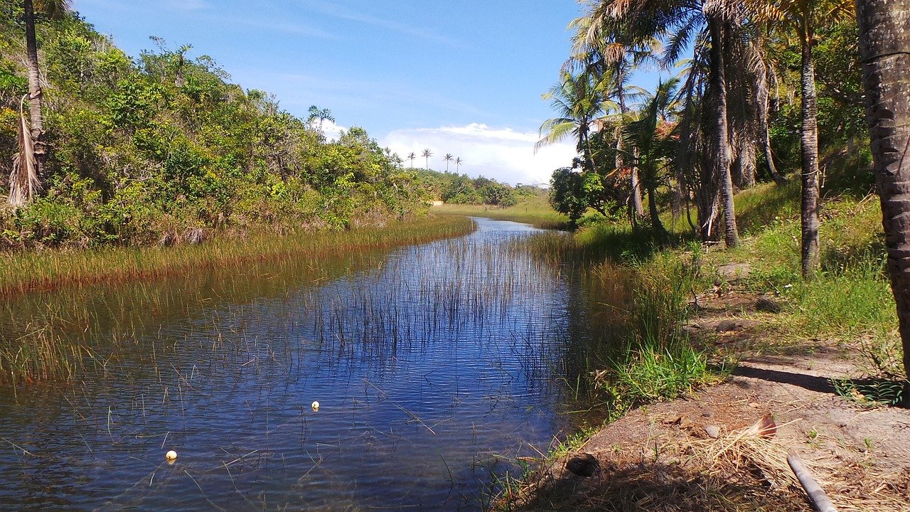 Río Aguadulce: opinión y guía completa sobre su estado actual
