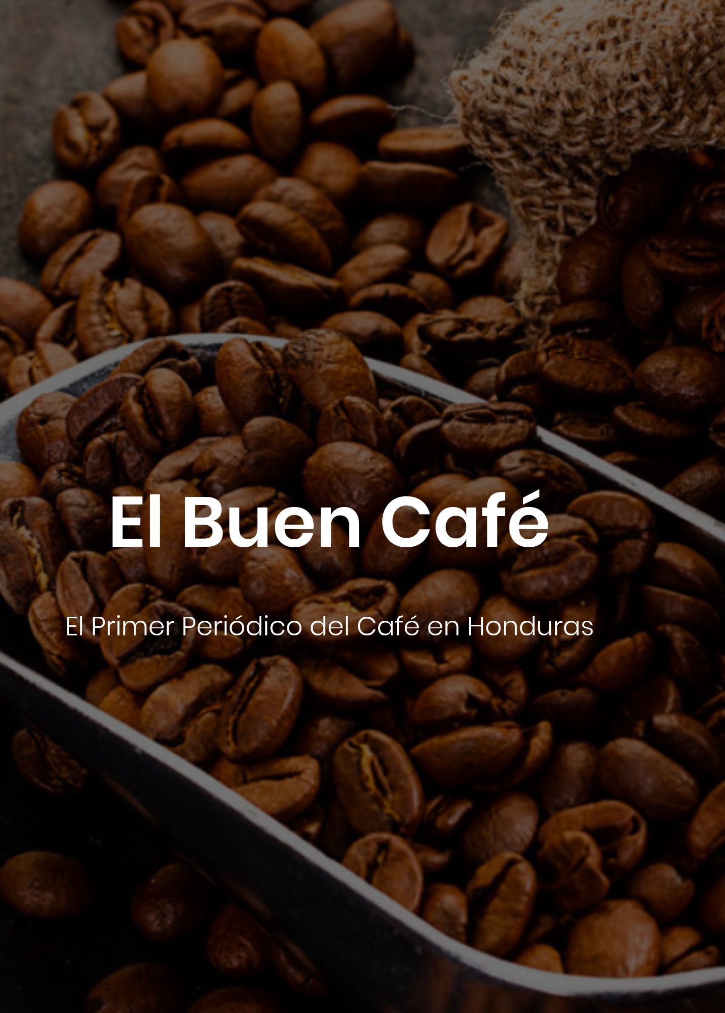 Opinión de El Buen Café: Reseña Honesta del Mejor Café Artesanal