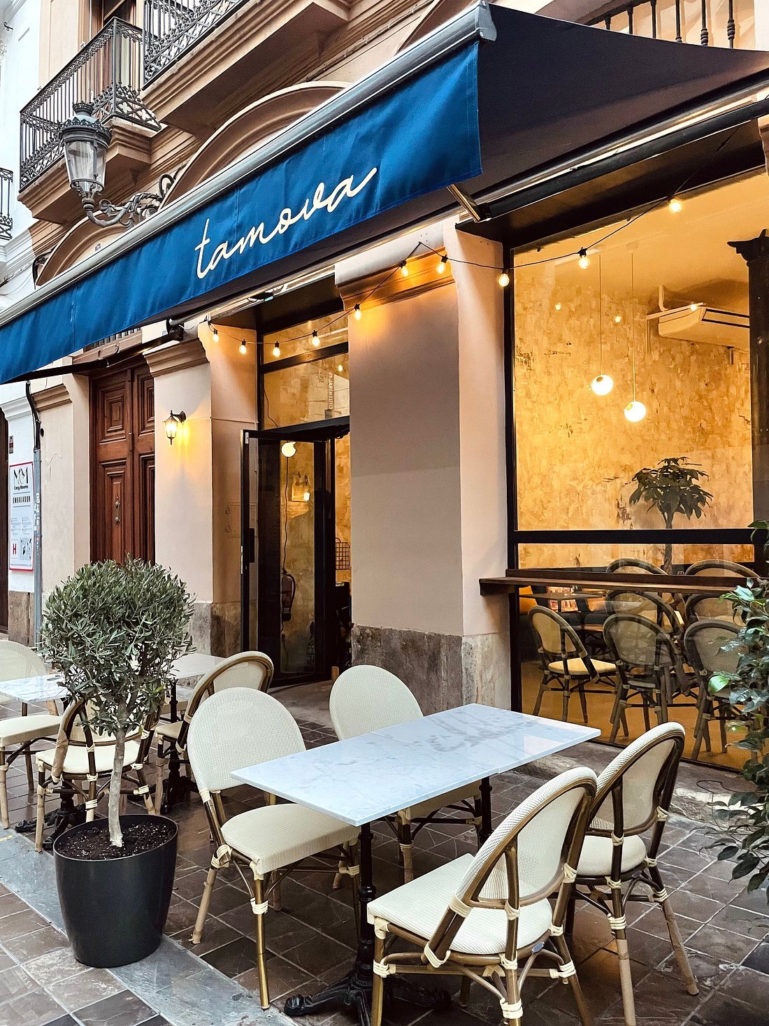 Tamova Restaurant opinión: reseña honesta, menú y experiencia culinaria