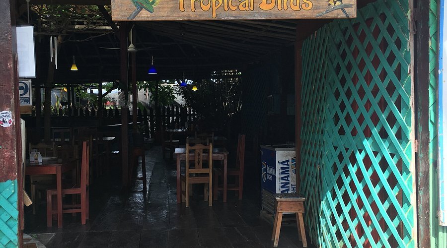 Restaurante Tropical Birds: Opinión y reseña del mejor ambiente natural