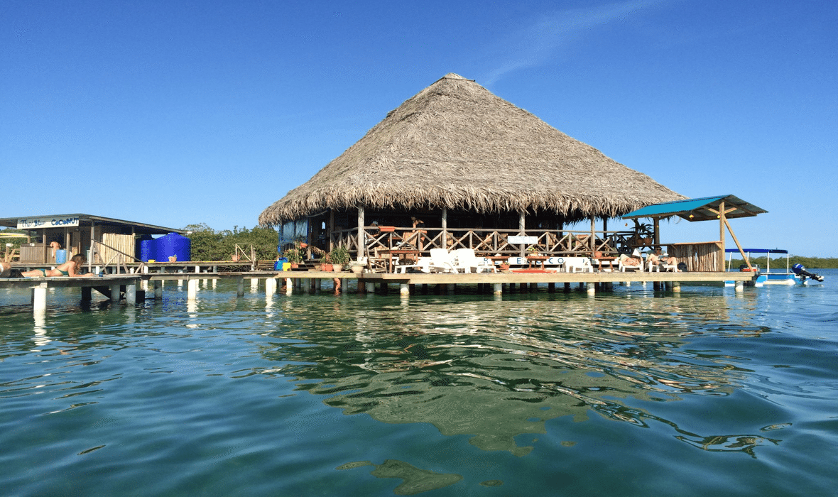 Reseña del restaurante The Blue Coconut: opinión sincera y platos destacados