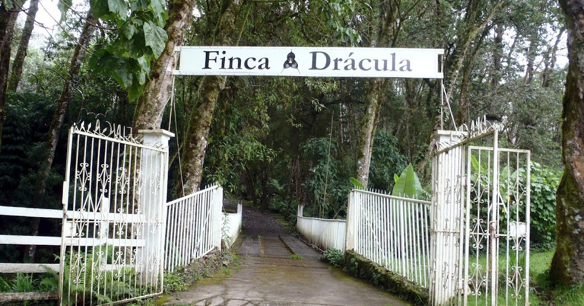 Opinión de Finca Drácula 1 Opinión de Finca Drácula: ¿Merece la pena visitar el castillo?