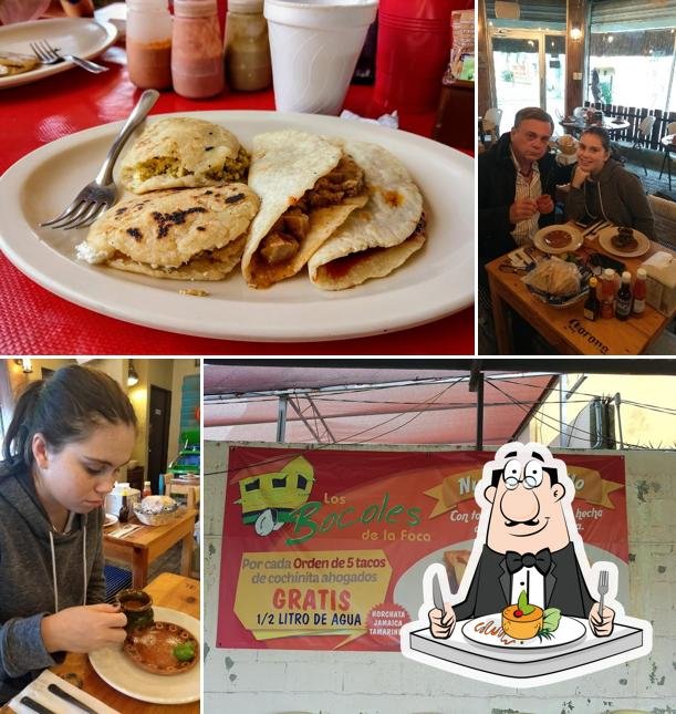 Opinión de El Portal – Boquitas y Tacos: sabor auténtico en cada bocado